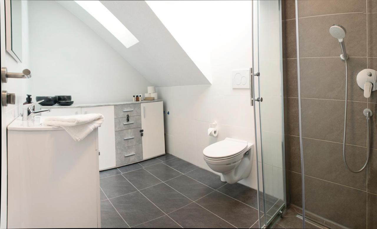 Modernes 80 Qm Apartment Mit Balkon Und Innenstadtnah Lörrach Εξωτερικό φωτογραφία